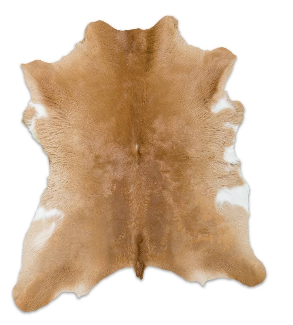 Small area calf skin - Pistols 'n Petticoats - #westernboutique# - #westernfashion#