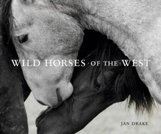 Wild horses of the west