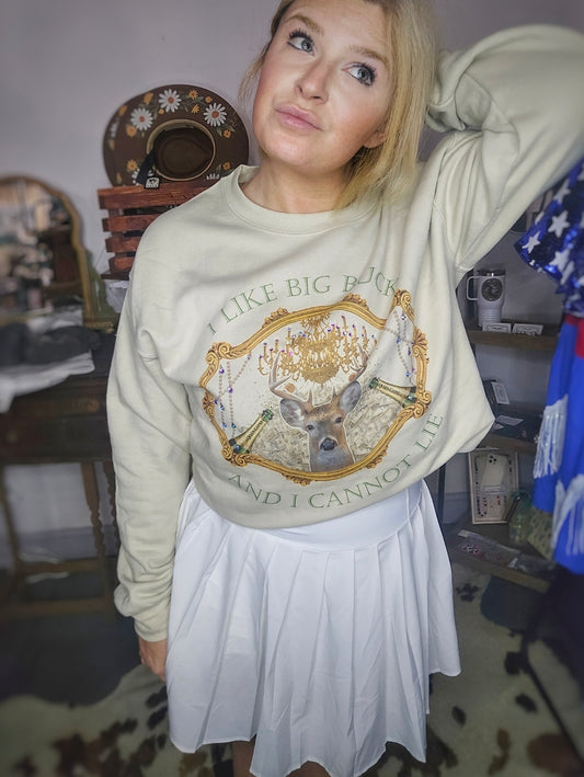 I like big bucks and I cannot lie sweater