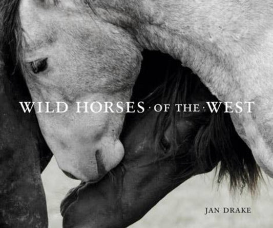 Wild horses of the West - Pistols 'n Petticoats - #westernboutique# - #westernfashion#